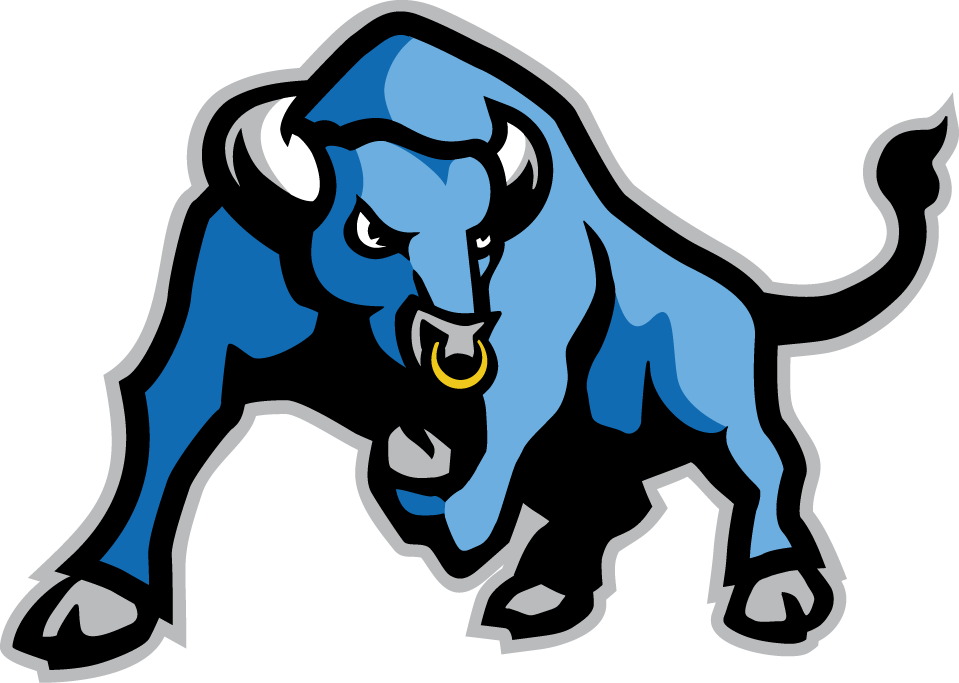 Buffalo Bulls 2007-Pres Alternate Logo DIY iron on transfer (heat transfer)